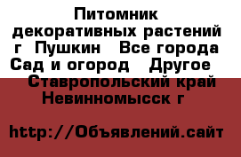 Питомник декоративных растений г. Пушкин - Все города Сад и огород » Другое   . Ставропольский край,Невинномысск г.